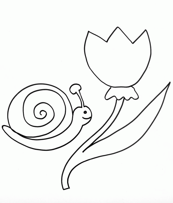 Ślimaki kolorowanki